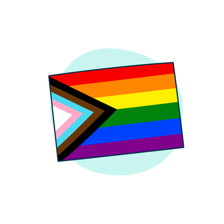 The Progress Pride flag.