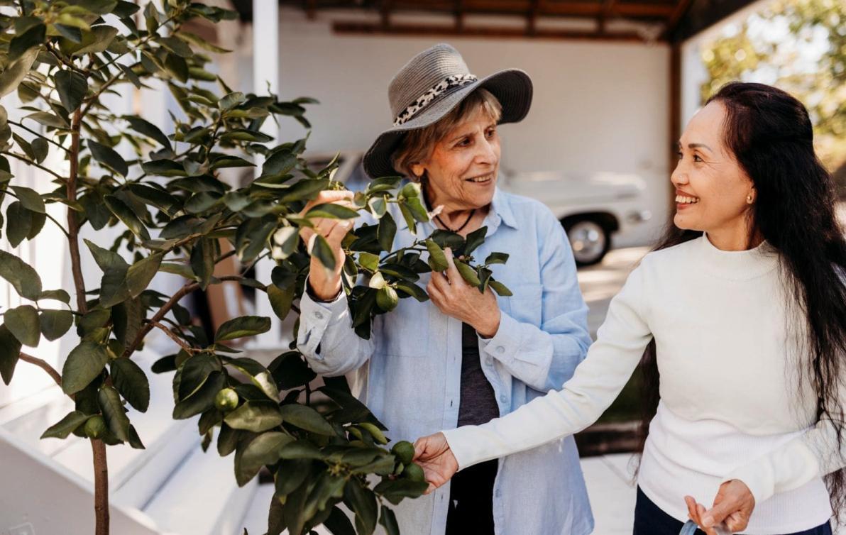 Two women talk and smile while inspecting a lime tree.