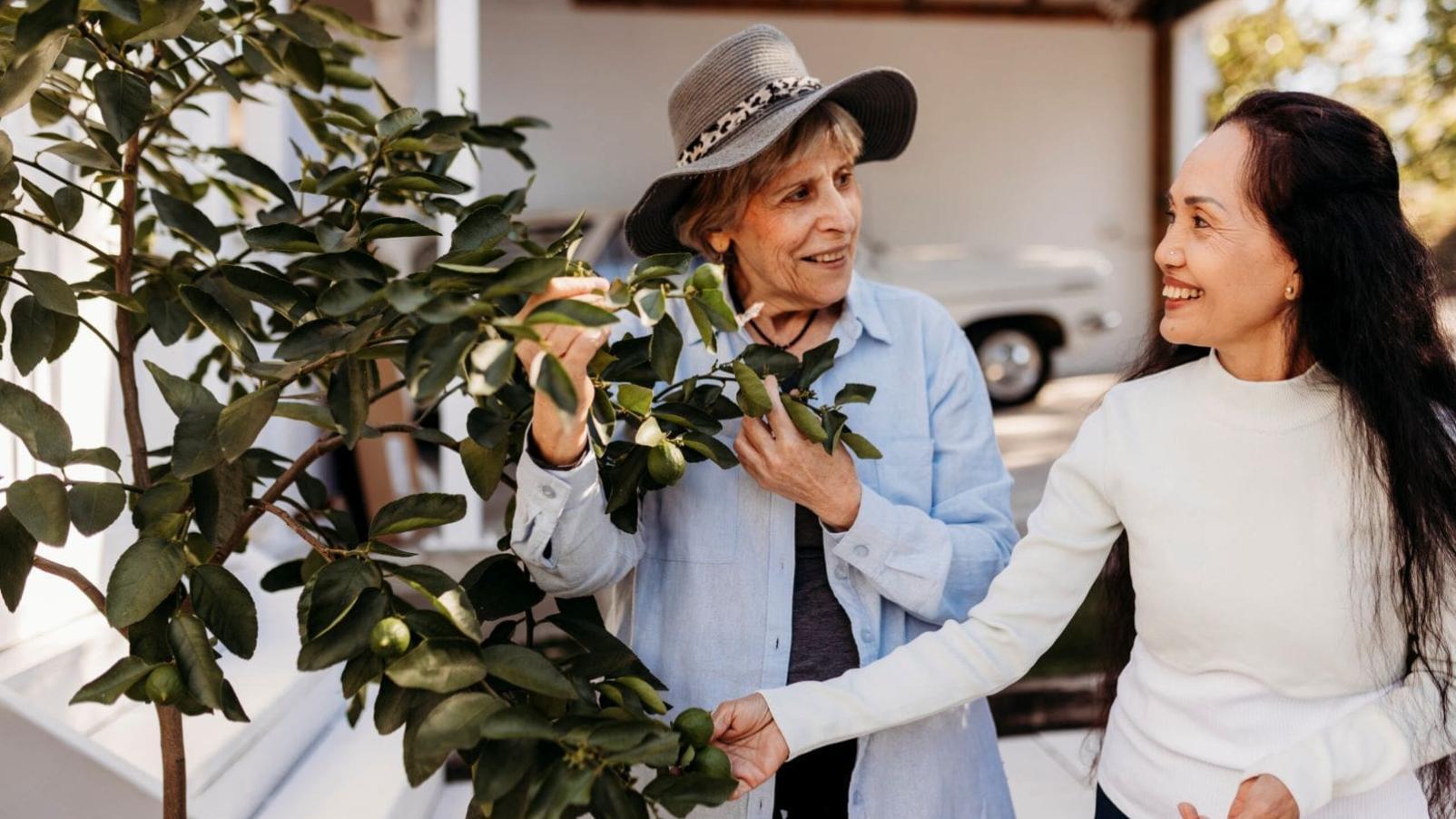 Two women talk and smile while inspecting a lime tree.